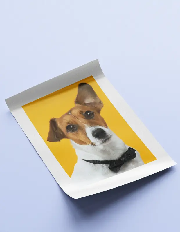 canvas printing